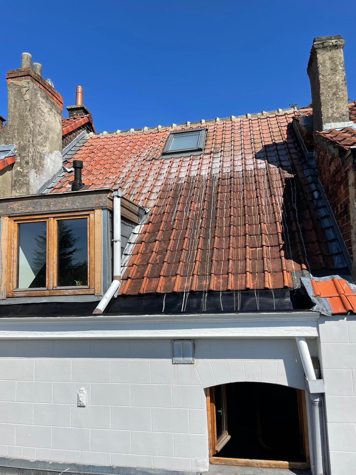 Démoussage et traitement toiture