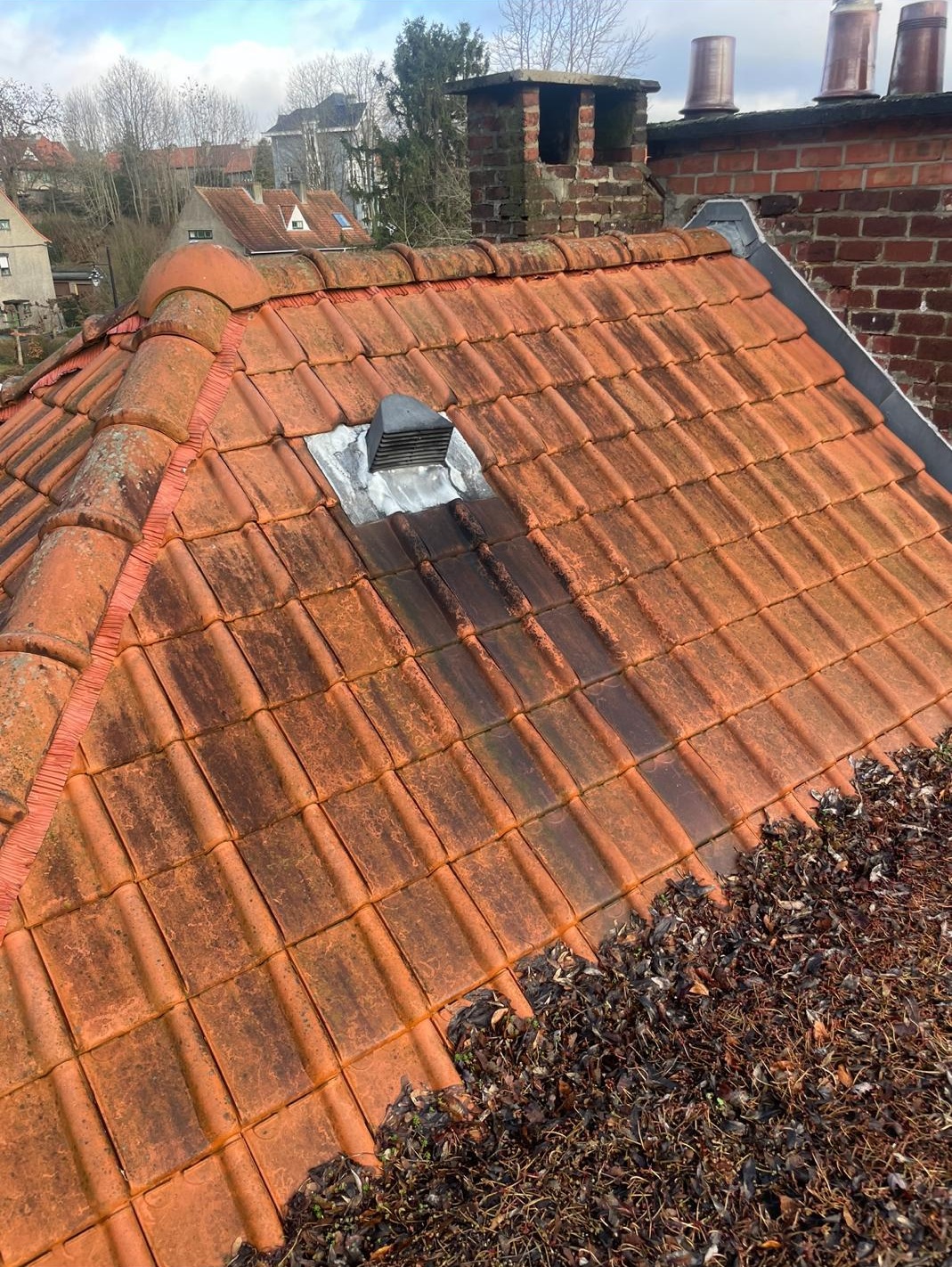 WhatsApp Image 2026-02-10 at 12.35.10