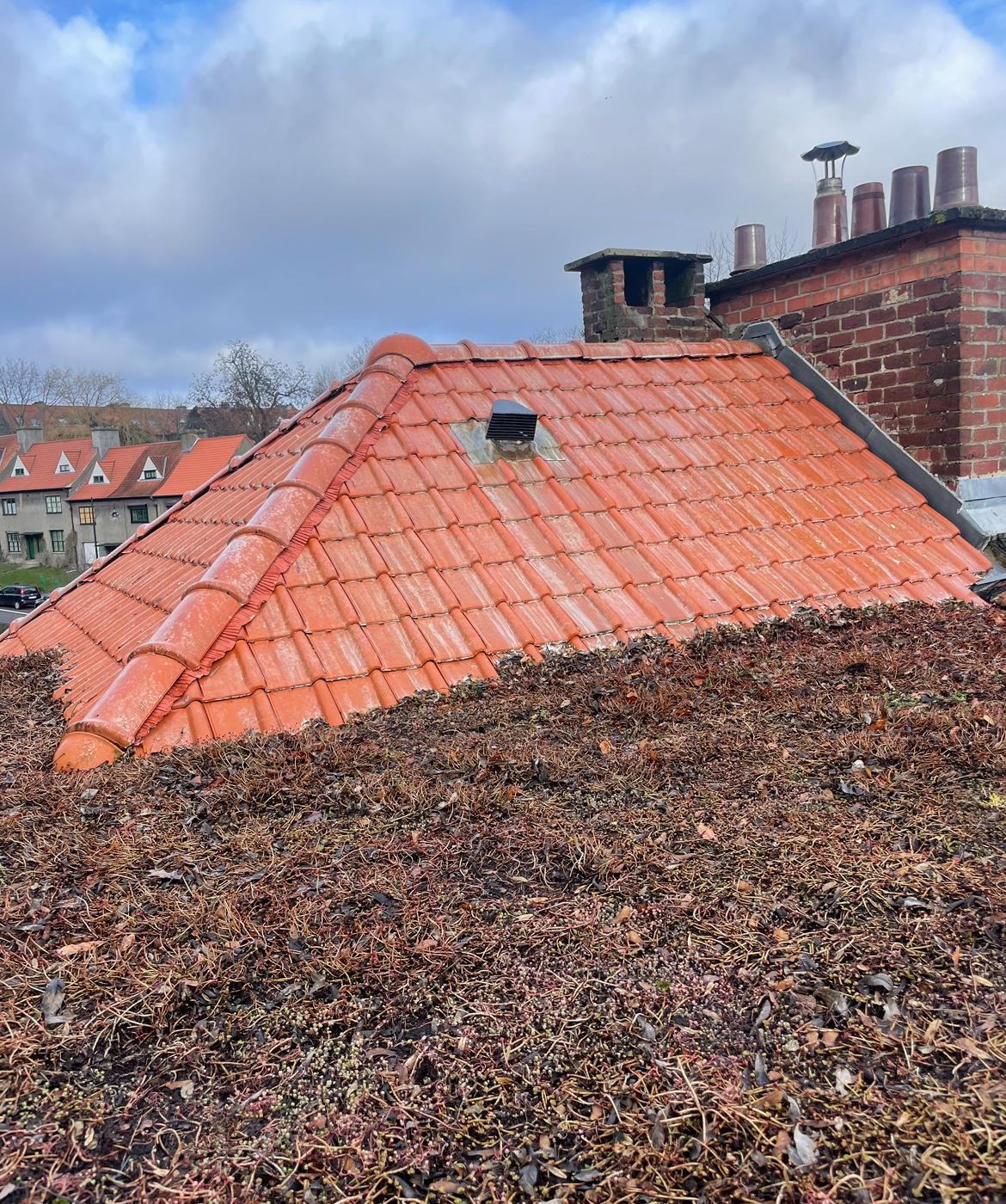 WhatsApp Image 2026-02-10 at 12.35.11