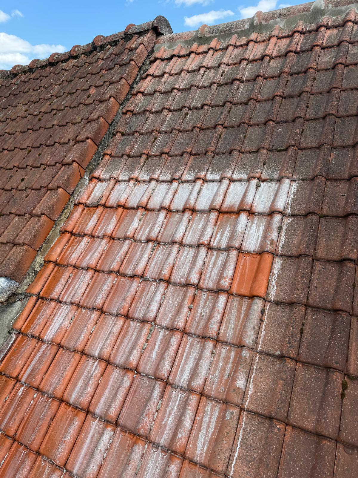 WhatsApp Image 2026-02-10 at 12.35.13